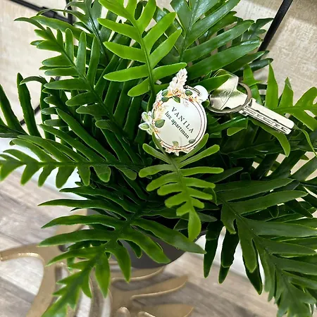 アパート Vanila Lux クラグイェヴァツ