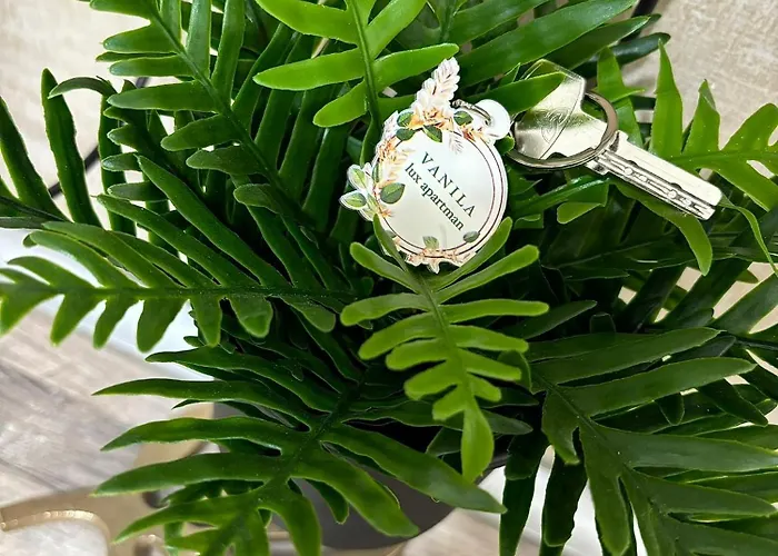 Appartement Vanila Lux Kragujevac