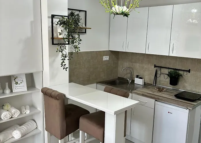 Vanila Lux * Kragujevac